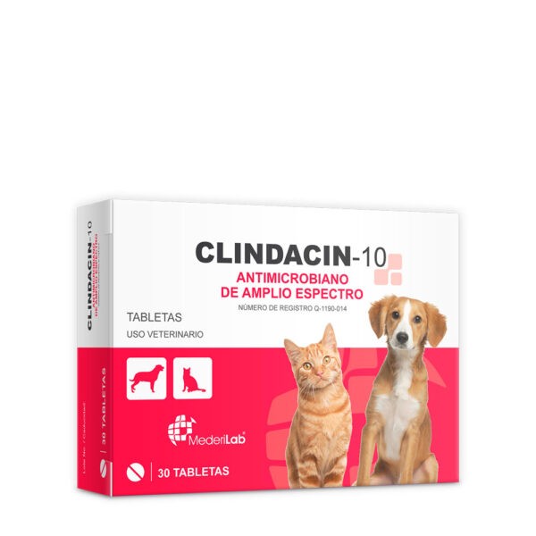 CLINDACIN 10  30 TABS