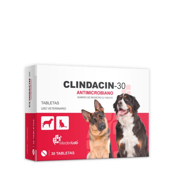 CLINDACIN 30  30 TABS