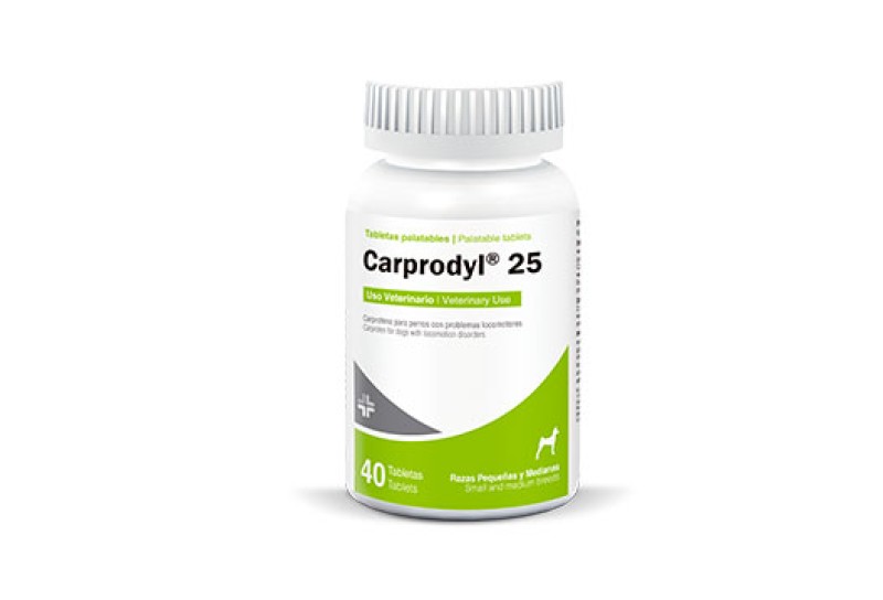 CARPRODYL 25 X 40 TABS    1 PZA