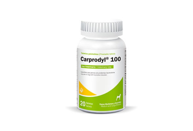 CARPRODYL 100 X 20 TABS    1 PZA