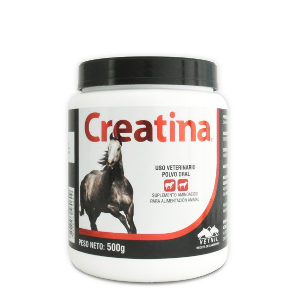 CREATINA 500 G