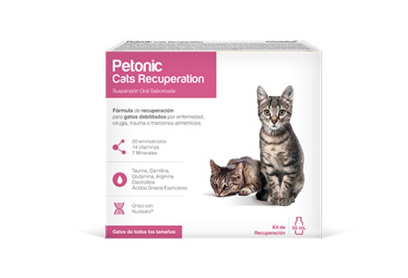 PETONIC CATS RECUPERATION 55 ML  1 PZA