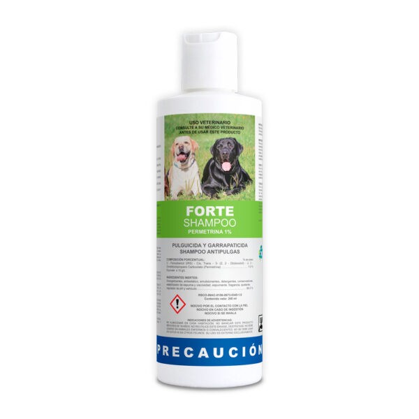 FORTE SHAMPOO 240 ML