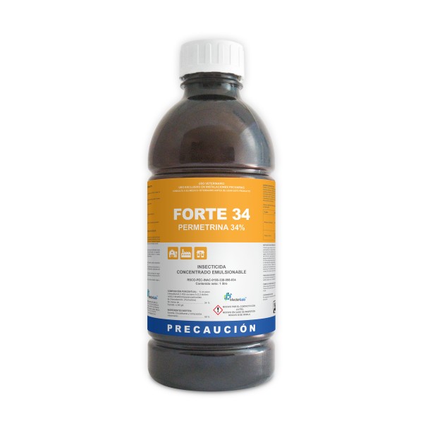 FORTE-34 1  LT