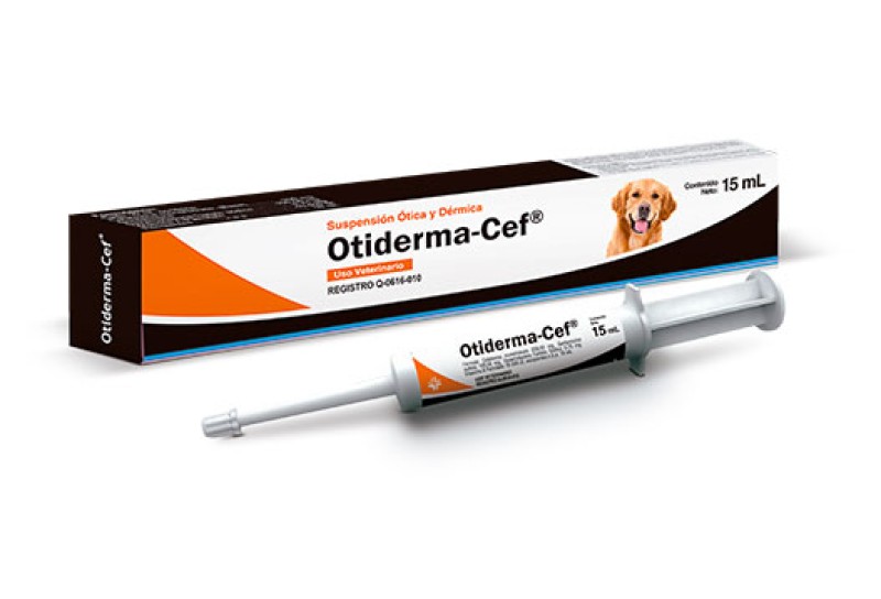 OTIDERMA-CEF 15 ML  1 PZA