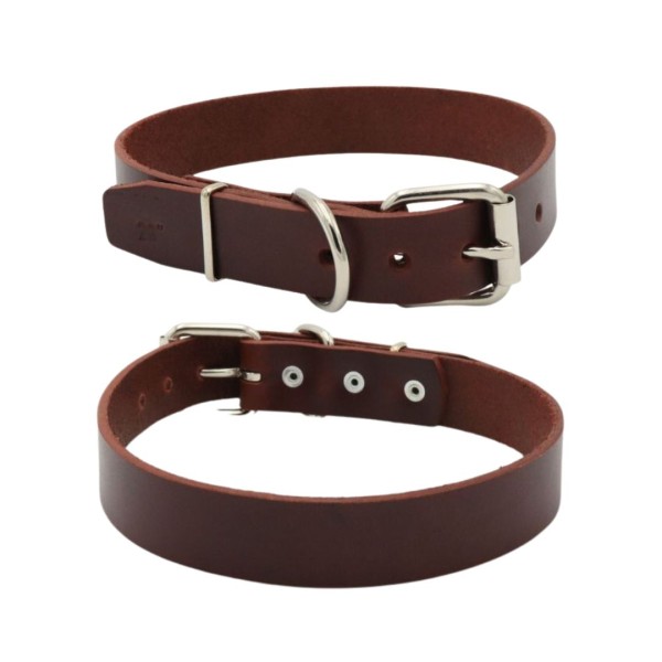 CLASICO COLLAR 28  28 X 1 1 4PG  MIEL